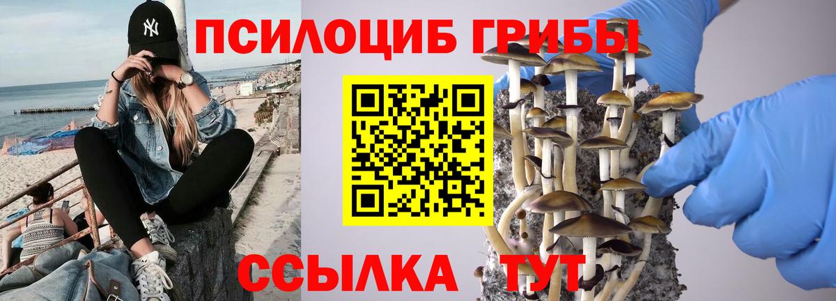 Псилоцибиновые грибы Magic Shrooms  купить наркоту  Курчатов  Вход с VPN 